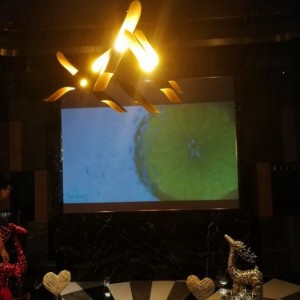 杭州新开的酒吧ktv招聘女服务员,交五险一金吗？